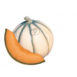 Distributeur alimentaire de MELON CHARENTAIS sur cash-alimentaire.com