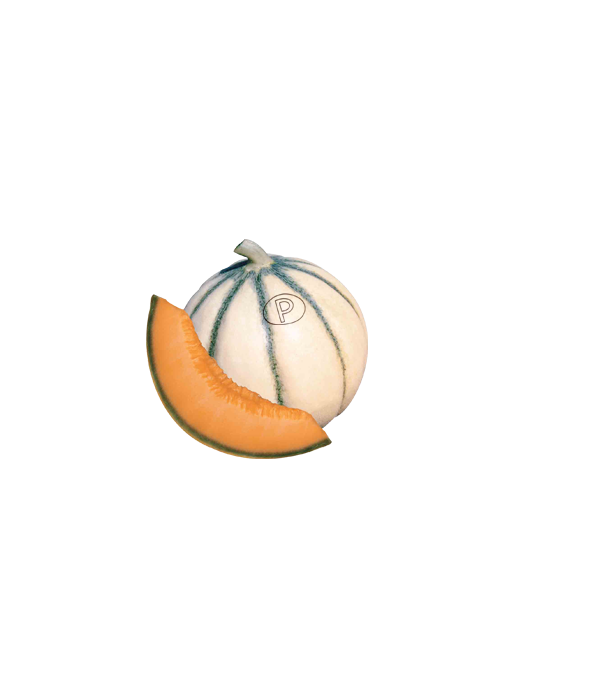 Distributeur alimentaire de MELON CHARENTAIS sur cash-alimentaire.com