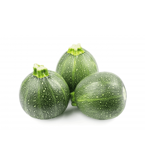 Vente en gros COURGETTE PAYS CASE sur cash-alimentaire.com