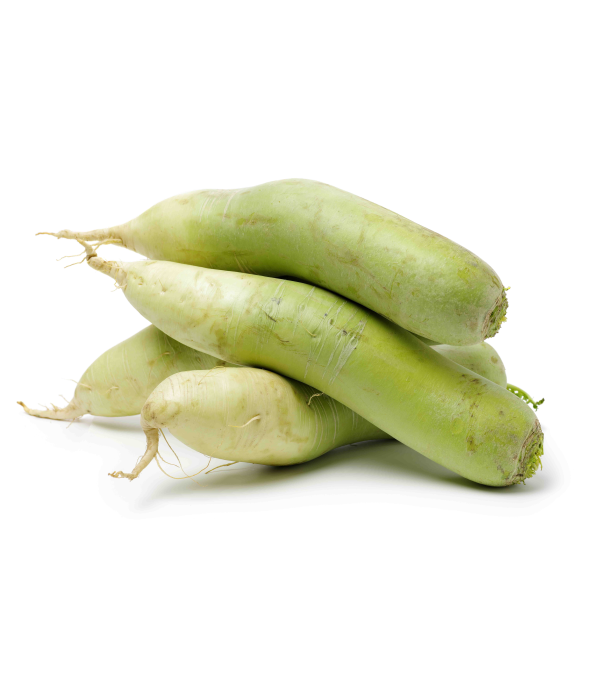 Grossiste alimentaire de RADIS GREEN MEAT sur www.cash-alimentaire.com