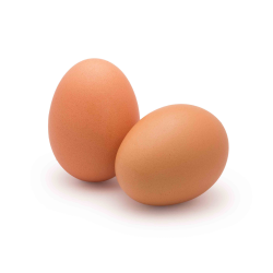 Grossiste alimentaire de OEUF MOYEN 53/63GR FRANCAIS SEGUY sur www.cash-alimentaire.com