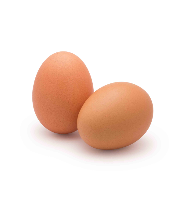 Grossiste alimentaire de OEUF MOYEN 53/63GR FRANCAIS SEGUY sur www.cash-alimentaire.com