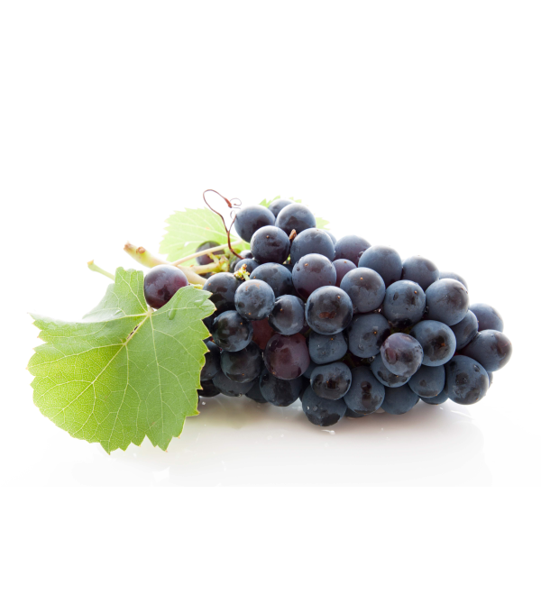 Vente en gros RAISIN NOIR MUSCAT DON NICOLA sur cash-alimentaire.com