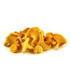 Achat en gros GIROLLE LITUANIE VIALADE sur cash-alimentaire.com