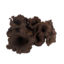 Vente en gros TROMPETTE AU COURS sur cash-alimentaire.com