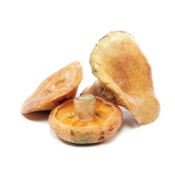 Distributeur alimentaire de LACTAIRE KILO VIALADE sur cash-alimentaire.com