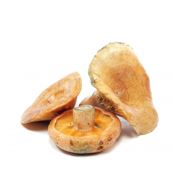 Distributeur alimentaire de LACTAIRE KILO VIALADE sur cash-alimentaire.com