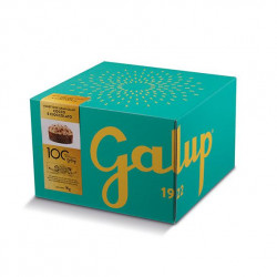 Achat en gros PANETTONE COCO CHOCOLAT GALUP