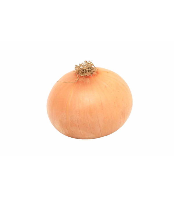 Vente en gros OIGNON JAUNE 50/70  FRANCE sur cash-alimentaire.com
