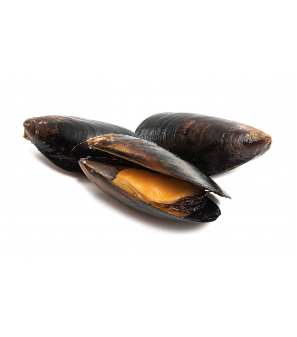 Achat en ligne MOULES ENTIERE CUITE PLEINE MER BRASMAR sur cash-alimentaire.com