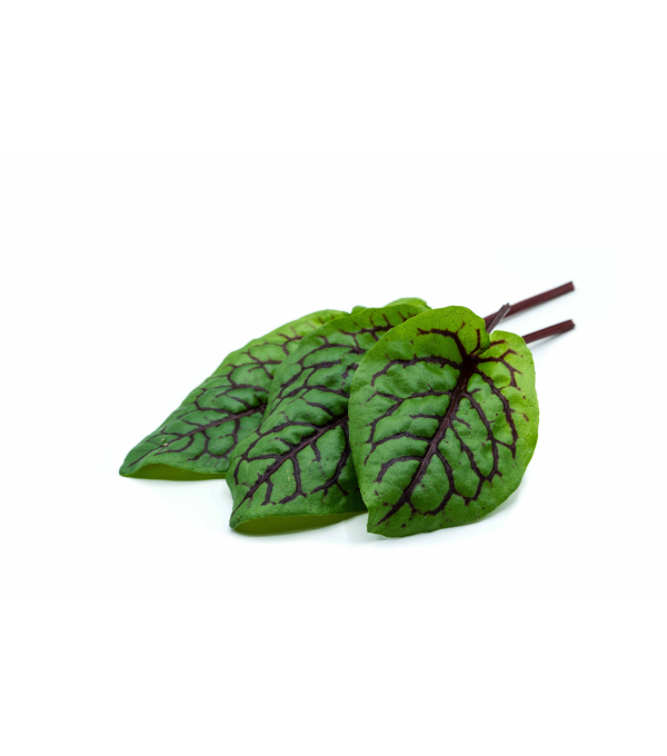 Achat en ligne VENE CRESS OSEILLE SANGUINE sur cash-alimentaire.com Achat en ligne VENE CRESS OSEILLE SANGUINE sur cash-alimentaire.com