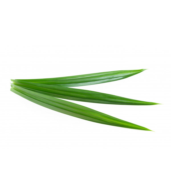 Achat en ligne FEUILLE DE PANDAN VIETNAM 200GR sur cash-alimentaire.com