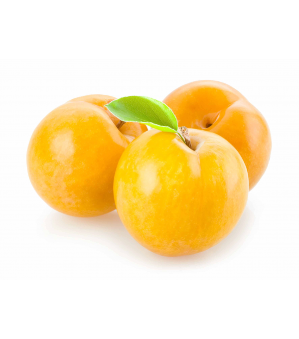 Achat en ligne PRUNE JAUNE 3A (+100GR) ITALIE LE KG sur cash-alimentaire.com Achat en ligne PRUNE JAUNE 3A (+100GR) ITALIE LE KG sur cash-alimentaire.com