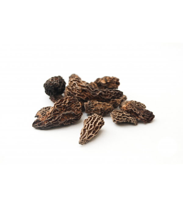 Achat en ligne MORILLE EXTRA SECHEE DOYPACK 500GR DELICE DES BOIS sur cash-alimentaire.com Achat en ligne MORILLE EXTRA SECHEE DOYPACK 500GR DELICE DES BOIS sur cash-alimentaire.com