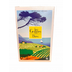 Achat en ligne VIN D ESPAGNE BLANC BIB 5L LES GRAPPES sur cash-alimentaire.com