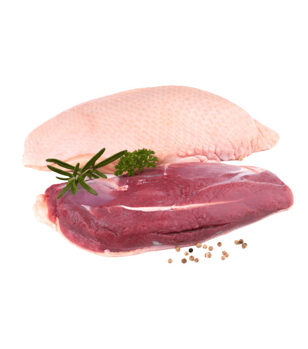 Achat en ligne MAGRET CANARD CRU DELICES & GASTRONOMIE sur cash-alimentaire.com