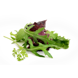 Achat en ligne MESCLUN ITALIE SACHET 200GR sur cash-alimentaire.com