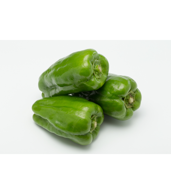Vente en gros POIVRON VERT CALIFORNIA sur cash-alimentaire.com Vente en gros POIVRON VERT CALIFORNIA sur cash-alimentaire.com