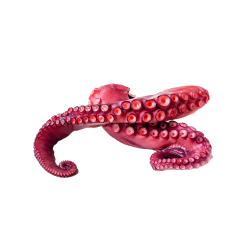 Vente en gros TENTACULE POULPE CUITE 370GR sur cash-alimentaire.com