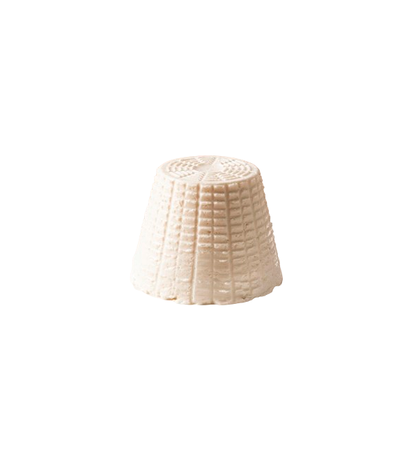 Achat en ligne RICOTTA FRAICHE ITALIE 300GR sur cash-alimentaire.com Achat en ligne RICOTTA FRAICHE ITALIE 300GR sur cash-alimentaire.com