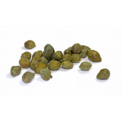 Achat en gros PETITES CAPRES AU SEL 1.5 KG LE SEAU MAROC sur cash-alimentaire.com