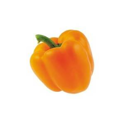 Achat en ligne POIVRON ORANGE EXTRA LE KG BELGIQUE sur cash-alimentaire.com