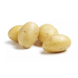 Achat en ligne POMME DE TERRE GRENAILLE CEASAR LE KG sur cash-alimentaire.com