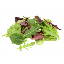 Achat en ligne MESCLUN NICOIS FRANCE SACHET 500GR sur cash-alimentaire.com