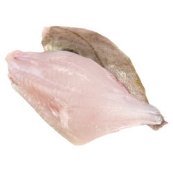 Achat en ligne FILET SAINT PIERRE AVEC PEAU 200+ sur cash-alimentaire.com