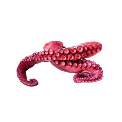 Achat en ligne TENTACULE POULPE CUIT 60/80GR sur cash-alimentaire.com