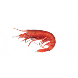 Achat en ligne CREVETTE ENTIERE CRUE SAUVAGE 18/23 1KG sur cash-alimentaire.com