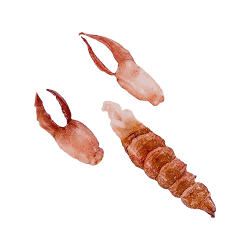 Achat en ligne CHAIR DE HOMARD CRU DECORTIQUE 170/195GR sur cash-alimentaire.com