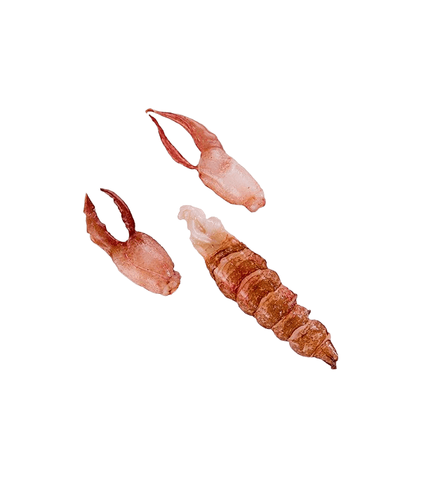 Achat en ligne CHAIR DE HOMARD CRU DECORTIQUE 170/195GR sur cash-alimentaire.com