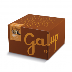 Achat en ligne PANETTONE FARCI GIANDUJA BOITE 1KG sur cash-alimentaire.com