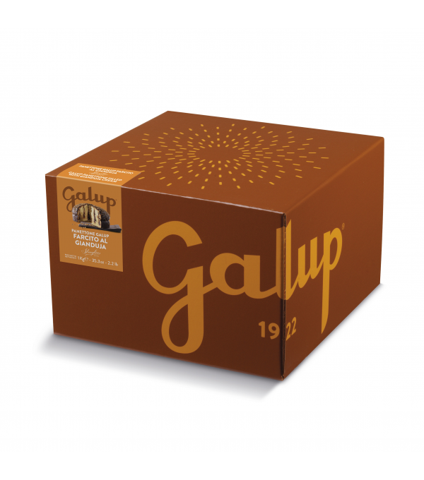Achat en ligne PANETTONE FARCI GIANDUJA BOITE 1KG sur cash-alimentaire.com Achat en ligne PANETTONE FARCI GIANDUJA BOITE 1KG sur cash-alimentaire.com