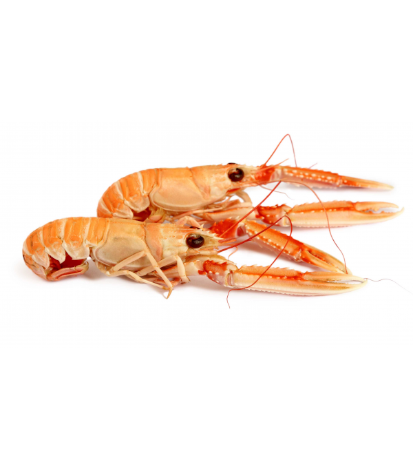 Achat en ligne LANGOUSTINE ENTIERE CRUE 4/7 sur cash-alimentaire.com