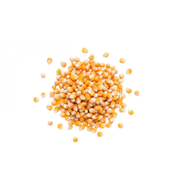 Achat en ligne MAIS A ECLATER FRANCE SAC 25KG sur cash-alimentaire.com Achat en ligne MAIS A ECLATER FRANCE SAC 25KG sur cash-alimentaire.com