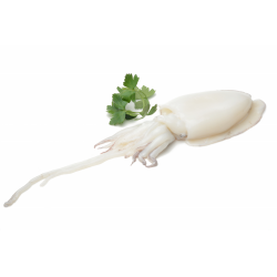 Achat en ligne SEICHE ENTIERE NETTOYEE 40/60 SAC 800GR sur cash-alimentaire.com