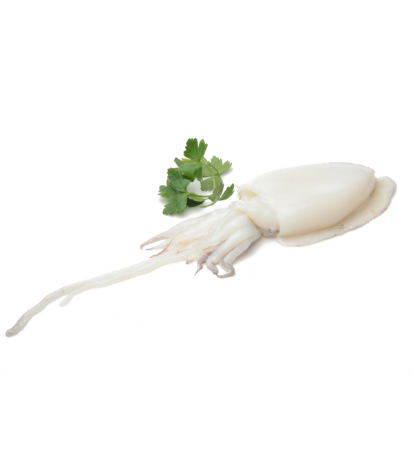 Achat en ligne SEICHE ENTIERE NETTOYEE 40/60 SAC 800GR sur cash-alimentaire.com Achat en ligne SEICHE ENTIERE NETTOYEE 40/60 SAC 800GR sur cash-alimentaire.com