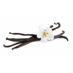 Achat en ligne GOUSSE DE VANILLE BOURBON SACHET 250GR MADAGASCAR sur cash-alimentaire.com