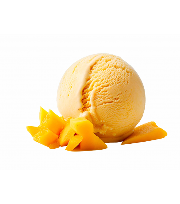 Achat en ligne SORBET MANGUE PLEIN FRUIT BAC 2.5L sur cash-alimentaire.com