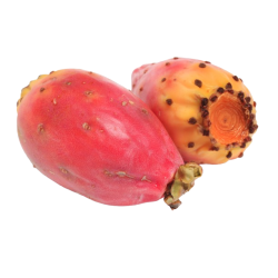 Achat en ligne FIGUE BARBARIE sur cash-alimentaire.com