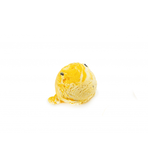 Achat en ligne SORBET FRUIT DE LA PASSION PLEIN FRUIT BAC 2.5L sur cash-alimentaire.com