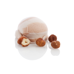 Achat en ligne CREME GLACEE NOISETTE AVEC MORCEAUX BAC 2.5L sur cash-alimentaire.com