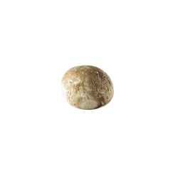 Achat en ligne MOZZARELLA BUFFLE AVERSANA FUME 500GR sur cash-alimentaire.com