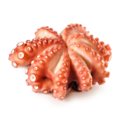 Achat en ligne POULPE ENTIER ROSACE 2000/3000 LE KG sur cash-alimentaire.com