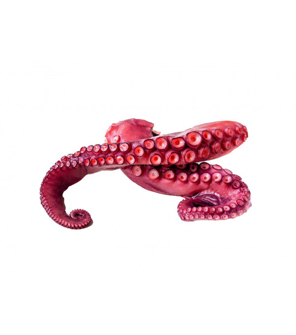 Achat en ligne TENTACULE POULPE CUIT 70/100GR sur cash-alimentaire.com