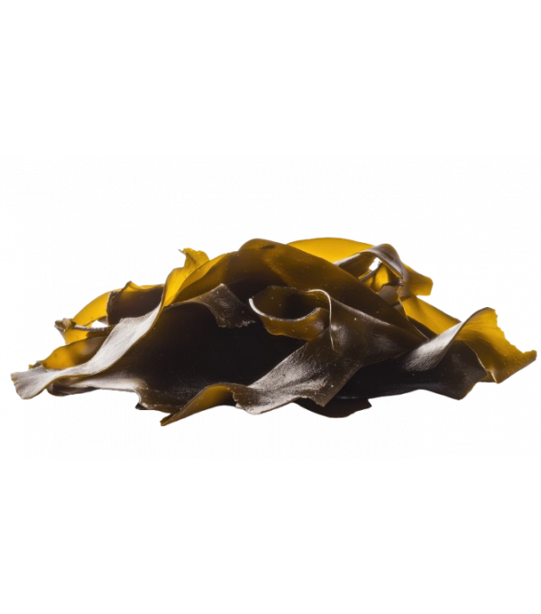 Achat en ligne ALGUE KOMBU SACHET 170GR sur cash-alimentaire.com