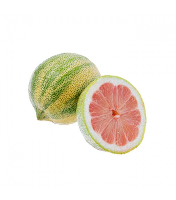 Achat en ligne CITRON ROSE MAROC sur cash-alimentaire.com