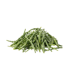 Achat en ligne SALICORNE VRAC FRANCE sur cash-alimentaire.com